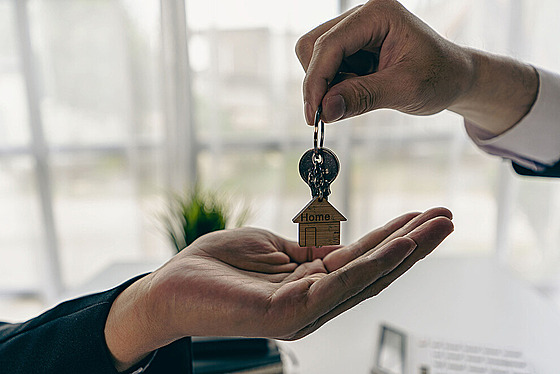 ilustra�ní snímek