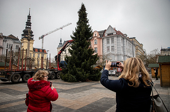 Masarykovo námstí v Ostrav letos zdobí smrk omorika. (23.11.2022)