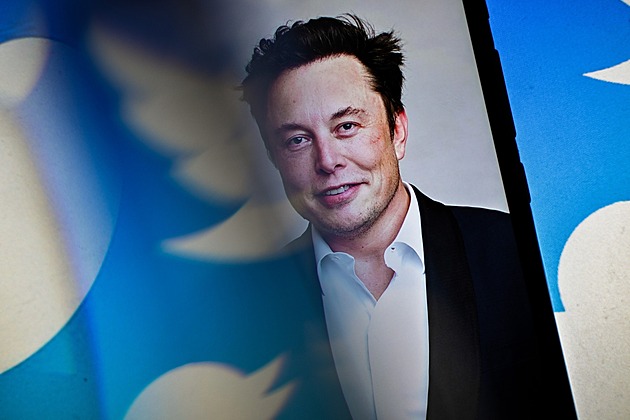 Zlaté, šedé i modré fajfky. Musk chystá pro Twitter „bolestivý“ systém účtů