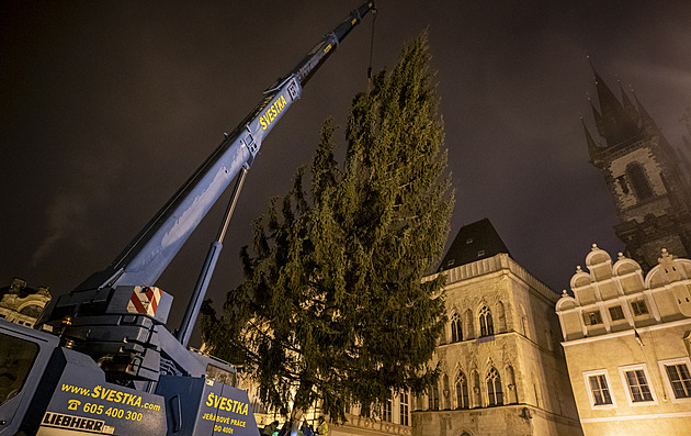 Na Staroměstském náměstí už stojí vánoční strom, rozsvítí se v sobotu