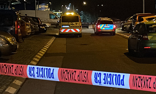 Ubodal taxikáře, prý se bál zabijáků. Podle psychiatričky byl při smyslech