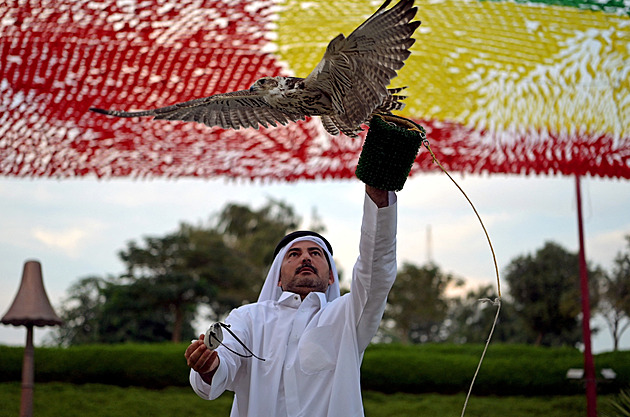 Proč Katařany tolik nebaví fotbal? Protože sokoli jsou pro ně mnohem víc