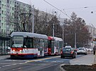 Nov postavenou tramvajovou tra na Nové Sady u obyvatelé nejlidnatjího...