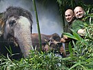 O slony se v steck zoologick zahrad staral tm t chovatel, dva z nich...