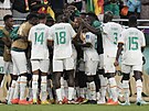 Senegaltí fotbalisté oslavují gól v utkání proti Kataru.