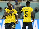 Fotbalisté Ekvádoru se radují z gólu Moisése Caiceda (s íslem 23) proti...