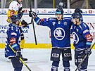 Plzetí hokejisté slaví gól proti Litvínovu.