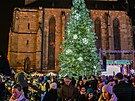 N�m�st� Republiky v Plzni s rozsv�cen�m v�no�n�m stromem a adventn�mi trhy....