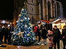 Kromě velkého plzeňského vánočního stromu je na náměstí i několik menších,...