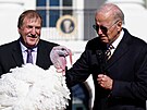 Americký prezident Joe Biden ped Dnem díkvzdání podle tradice omilostnil dva...