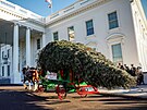 Vánoní strom pro letoní rok u dorazil do Bílého domu. (21. listopadu 2022)
