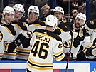 David Krejí slaví gól se spoluhrái z Boston Bruins.