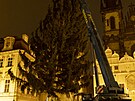 <p>Letošní vánoční strom byl postaven na své místo dnes v noci kolem druhé hodiny ranní.</p>