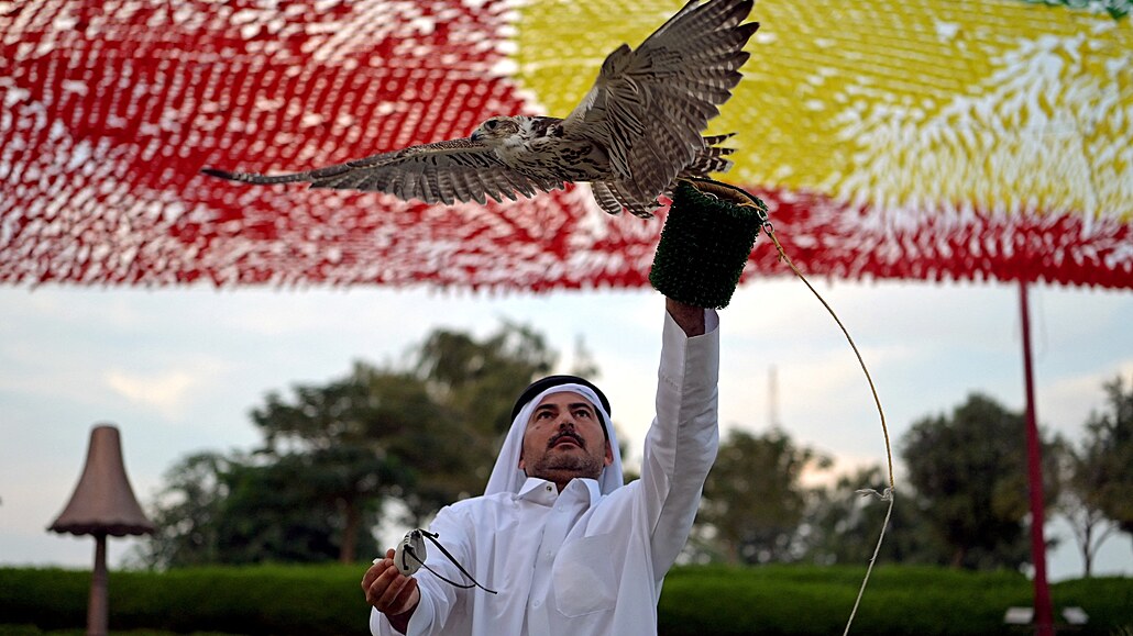 Sokol je v arabském svte uctívaným ptákem. Nejinak je tomu v Kataru, djiti...