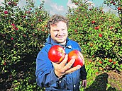 V Česku mizí ročně stovky hektarů ovocných sadů.