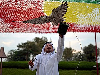 Sokol je v arabském světe uctívaným ptákem. Nejinak je tomu v Kataru, dějišti...