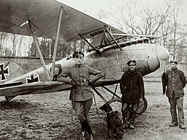 Albatros D.III