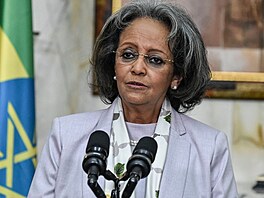Prezidentka Etiopie Sahle-Work Zewde