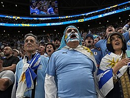 Fanouci fotbalist Uruguaye bhem utkání MS v Kataru proti Portugalsku.