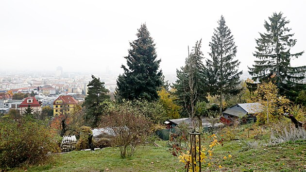 Svažitý terén brněnského Žlutého kopce má v budoucnu místo zahrádek zaplnit zástavba rodinných a bytových domů. V jejich středu má být nový park.