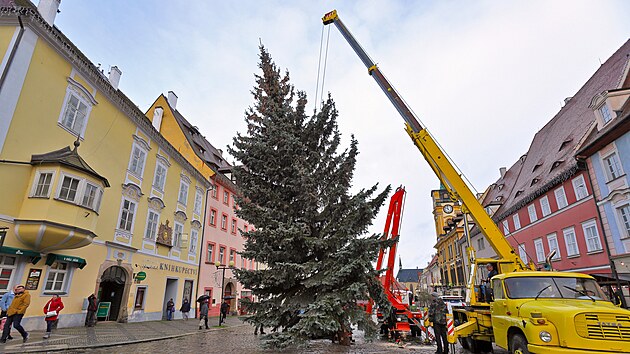 Stavění vánočního stromu, patnáct metrů vysokého stříbrného smrku, na chebském náměstí Krále Jiřího. (21. listopadu 2022)