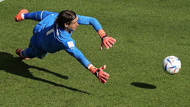 vcarsk glman Yann Sommer zasahuje v utkn proti Kamerunu.