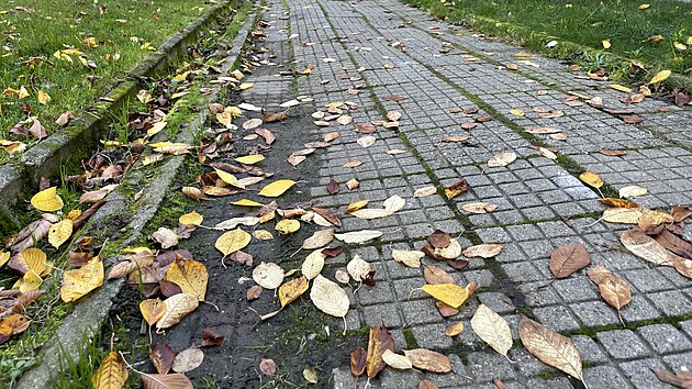 Mezi letonmi nvrhy v anket Tvome Zln je napklad oprava prchozho chodnku na ulici Kamenn. (listopad 2022)