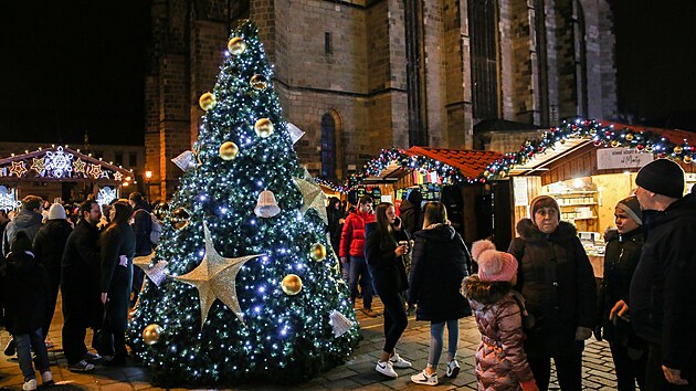 Kromě velkého plzeňského vánočního stromu je na náměstí i několik menších, které dotvářejí atmosféru na trzích. (27. listopadu 2022)