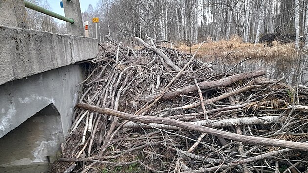Hrozilo, že větve z hráze ucpou mostek a voda by se pak valila přes silnici.
