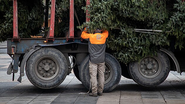 Letošní vánoční strom v Ostravě pochází od soukromého dárce. (23.11.2022)