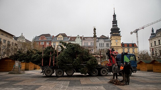 Vánoční strom v Ostravě je vysoký 11 metrů. (23.11.2022)
