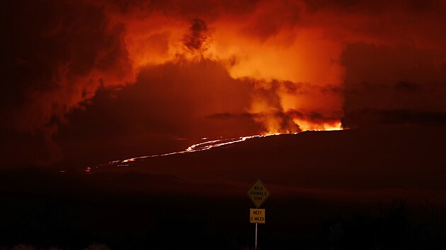 Z havajsk sopky Mauna Loa nedaleko msta Hilo tee eka lvy. Mauna Loa, kter je nejvt aktivn sopkou svta, vybuchla poprv po 38 letech. (28. listopadu 2022)