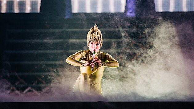 Zbr z brnnskho pedstaven show Lord of the Dance: 25 Years of Standing Ovations, kterou irsk tanen projekt zahjil eskou st turn (26. listopadu 2022).