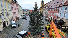 Stavní vánoního stromu, patnáct metr vysokého stíbrného smrku, na chebském...