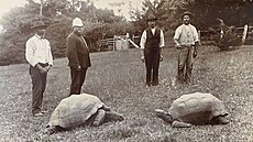 Nejstarší želva na světě Jonathan (vlevo) na snímku z roku 1886, čtyři roky...