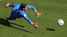 Švýcarský gólman Yann Sommer zasahuje v utkání proti Kamerunu.