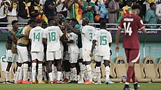 Senegaltí fotbalisté oslavují gól v utkání proti Kataru.