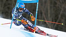Amerianka Mikaela Shiffrinová bhem obího slalomu v Killingtonu