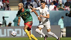 Kamerunský útočník Eric Maxim Choupo-Moting vede míč před Sašou Lukičem ze...