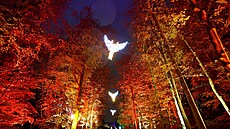 Letoní iluminace berlínské botanické zahrady (17. listopadu 2022)
