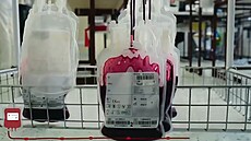 Nemocnice ukázala cestu krve od dárce k pacientovi