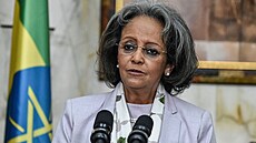 Prezidentka Etiopie Sahle-Work Zewde