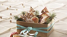 D�nsk� pern��ky