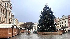 Váno�ní strom na Pern�týnském nám�stí v Pardubicích.