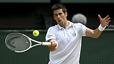 Nepítel mléka. Fenomenální tenista Novak Djokovi vysadil ze stravy spoustu...