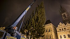 Na praském Staromstském námstí stojí vánoní smrk pvodem ze severních ech....