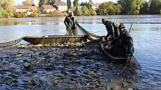 Koncem října vylovili rybáři žďárský Horní rybník. Po revitalizaci však už tato... | na serveru Lidovky.cz | aktuální zprávy