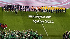 Fotbalisté Francie a Austrálie p�ed za�átkem zápasu na MS v Kataru.