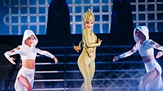 Zábr z brnnského pedstavení show Lord of the Dance: 25 Years of Standing...