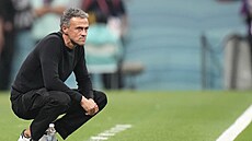 �pan�lský kou� Luis Enrique.